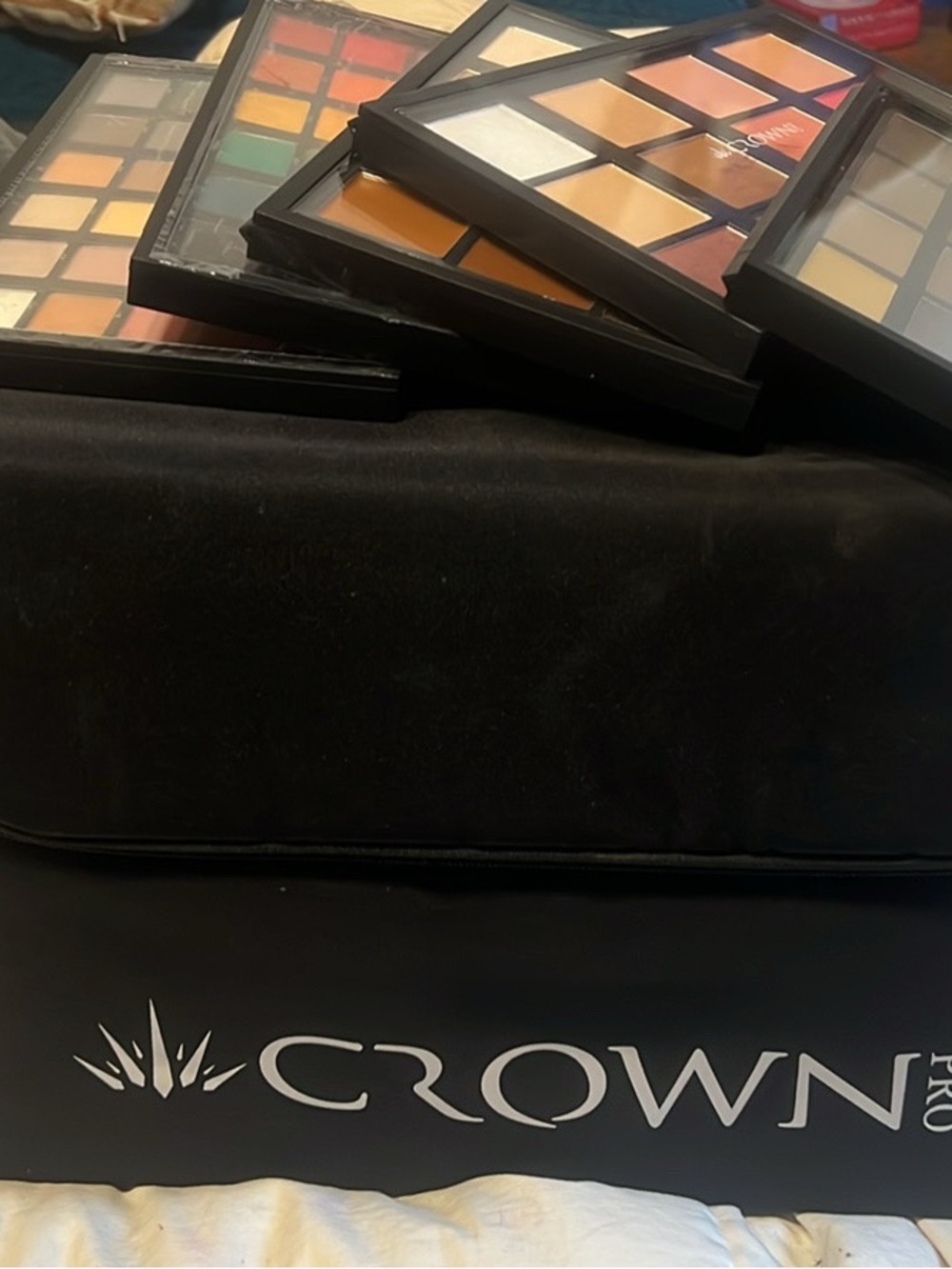 Crown Professional make up artist travel master pro esthetician school kit